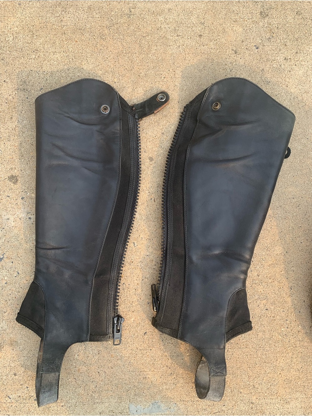 Ariat half chaps - Black - size XS